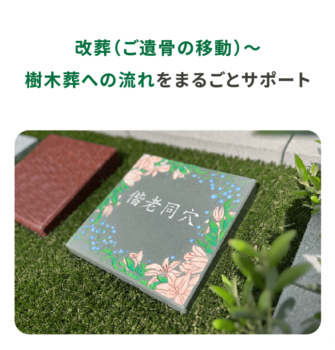 改葬（ご遺骨の移動）〜樹木葬への流れをまるごとサポート